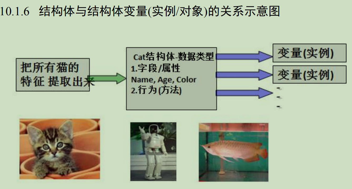 结构体与结构体变量
