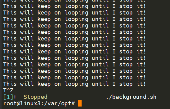 Ctrl + Z2bg